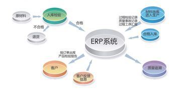 軟件銷售市場(chǎng)動(dòng)態(tài) 創(chuàng)新驅(qū)動(dòng)與數(shù)字化轉(zhuǎn)型成新焦點(diǎn)